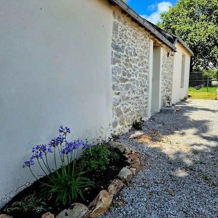 Gite De Felicite, Calme Et Nature Savenay Esterno foto