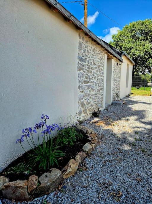 Gite De Felicite, Calme Et Nature Savenay Esterno foto
